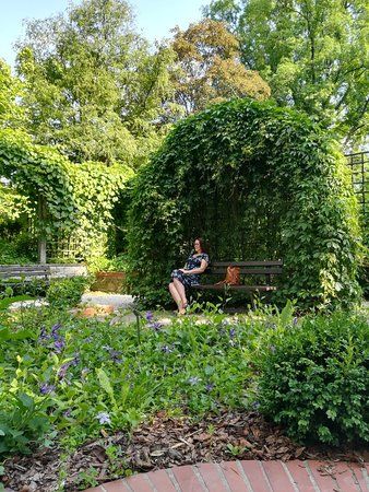 Botanischer Garten der Universität Warschau